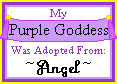 Angel Fae's Adoptions